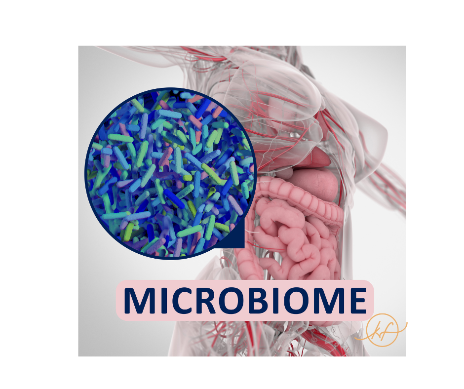 Why test your Gut Microbiome? Unlocking the secrets of your gut health ...